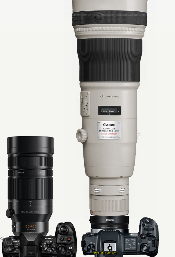 How do the mirrorless camera *systems* of Sony, Panasonic, Olympus, and