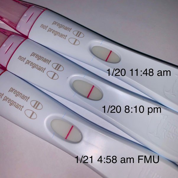 Why Does The Line On Positive Pregnancy Tests Fade? - Quora