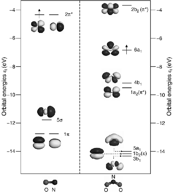 What is the molecular orbital diagram for NO₂? Quora