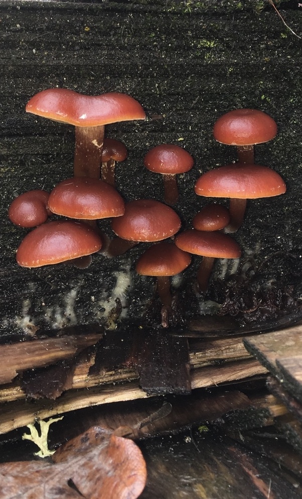 What do you consider unique works of art? Quora