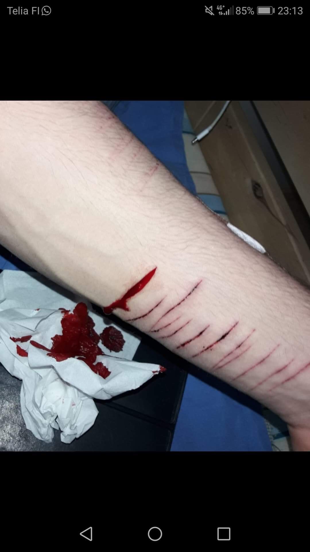 Someone To Cut My Grass