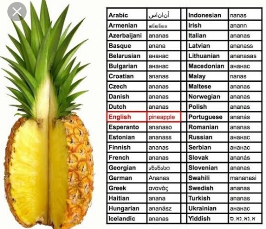 What are some words that sound almost the same in almost every language