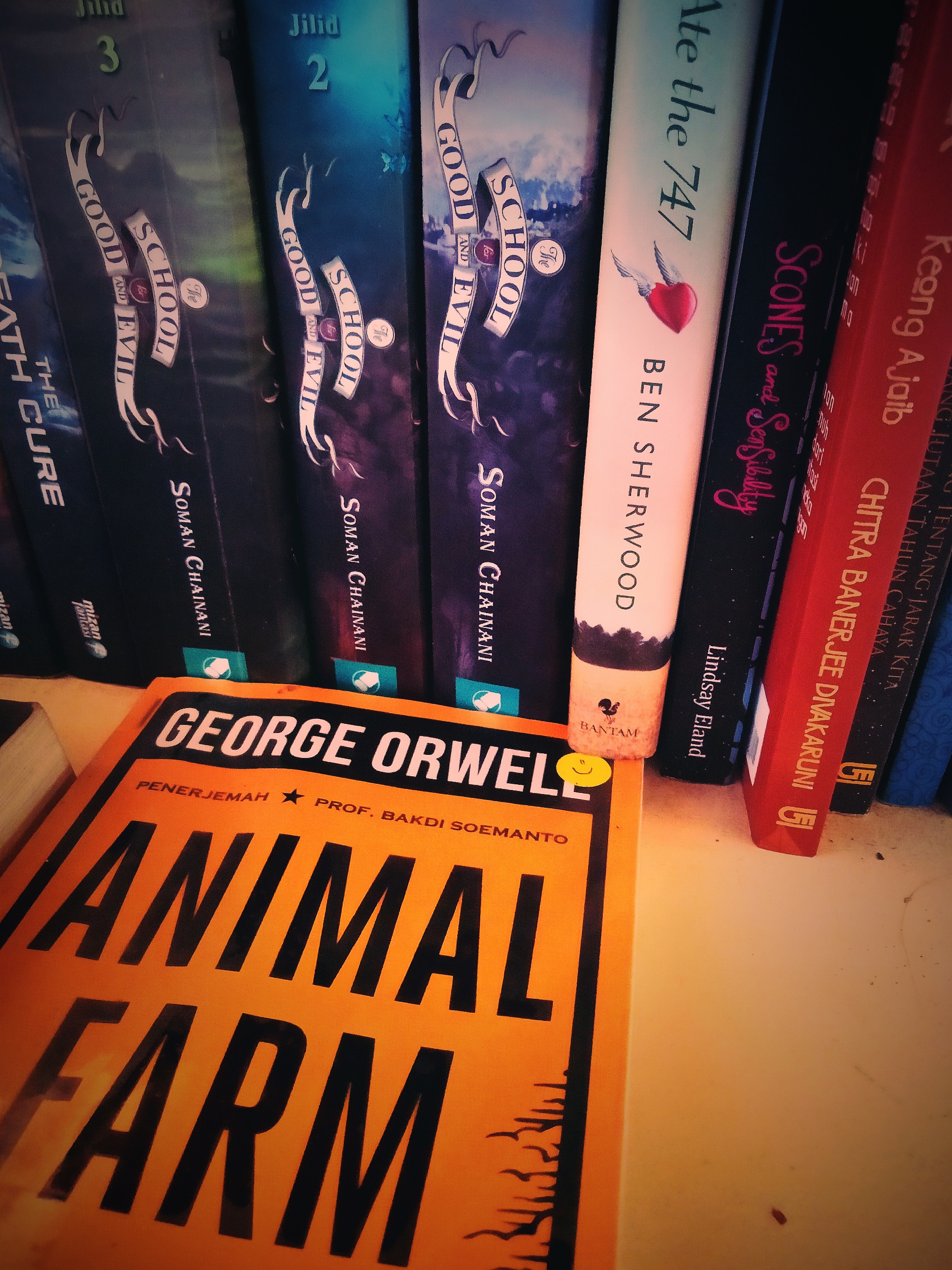 Bagaimana cara membedakan pendiam cerdas? - Quora