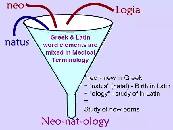 Would learning Latin help me understand medical terms? Quora