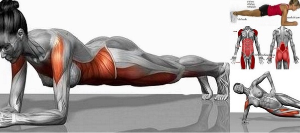 Does the plank workout burn fat? Quora