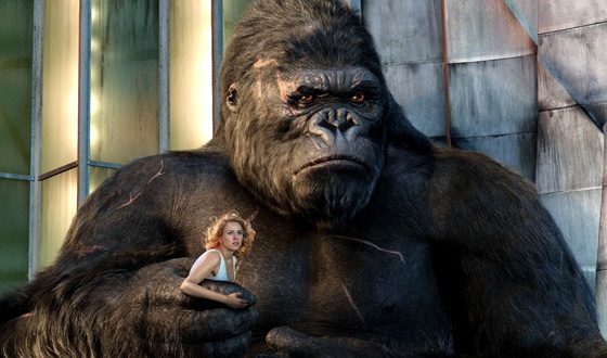 What is the largest ape to ever have existed? Quora