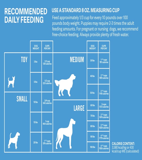 How much food you should feed a dog? Quora