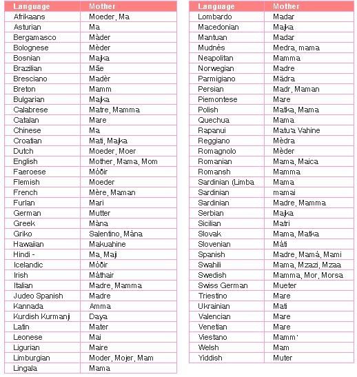Which words are the most similar across all languages? I’m looking for