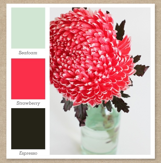 What colour goes best with fuchsia pink? Quora