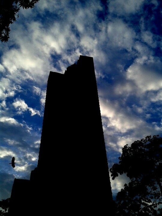 Do cellphones with a 5 megapixel camera take good photos? Are 5