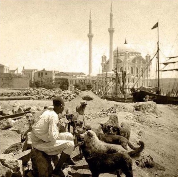 Today Istanbul holds an unusually large population of