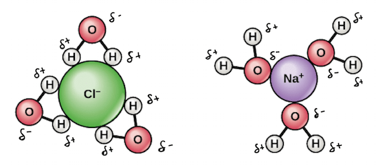 Is sodium chloride soluble in water? Quora