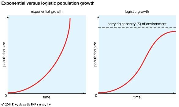 What is the exact opposite word of exponential growth? Quora