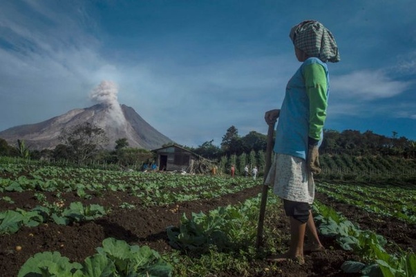 Why are people stupid enough to live on a volcano? Quora