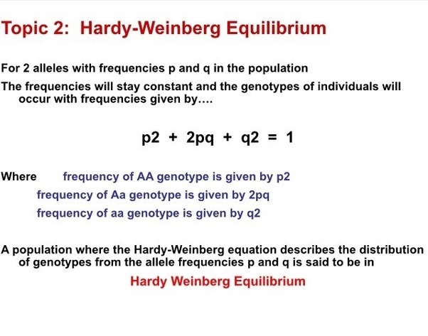 What is the equation for allele frequency? Quora