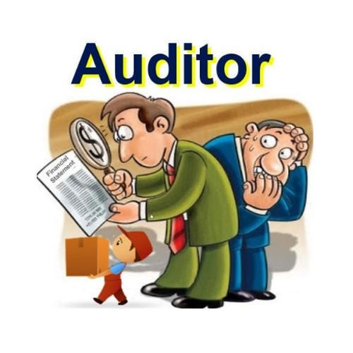 Which are the best internal audit firms in India? Quora
