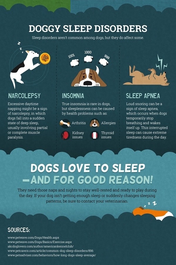 +25 How Often Do Puppies Sleep 2022