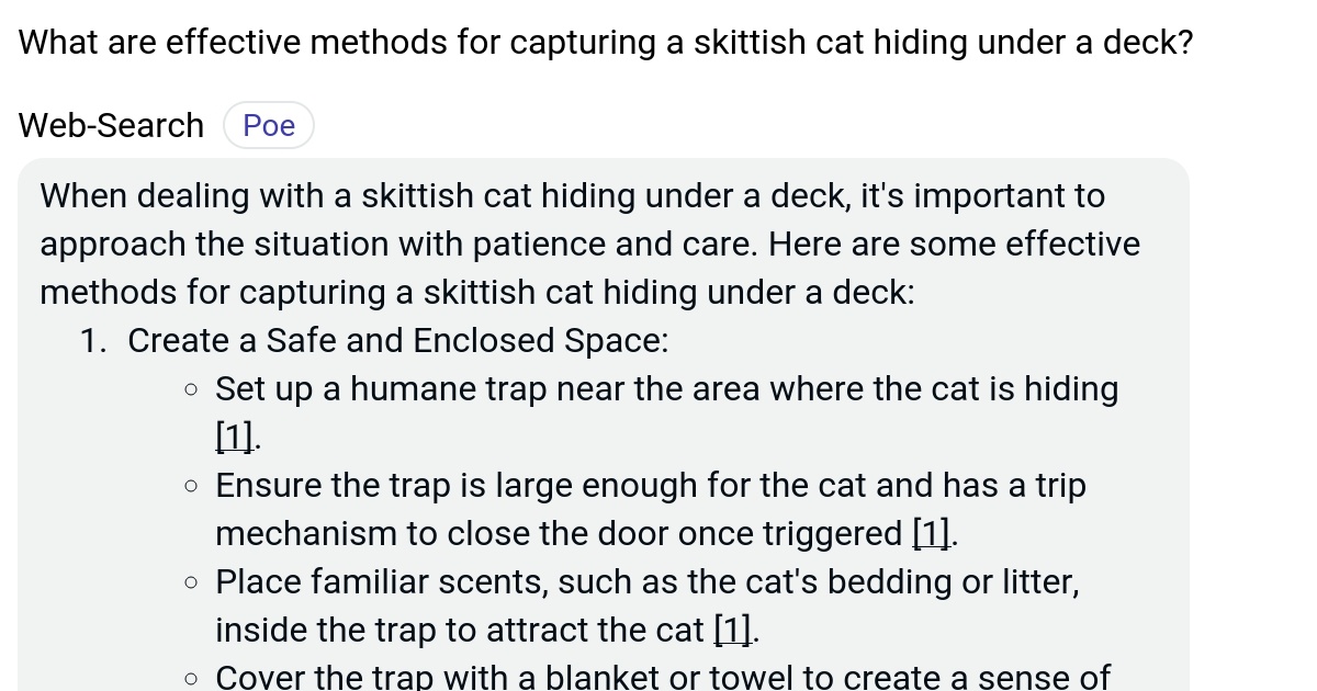 What are effective methods for capturing a skittish cat hiding under a