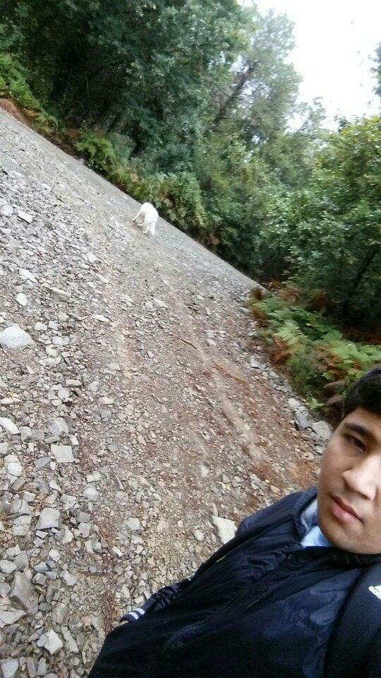 Why do people like hiking? Quora