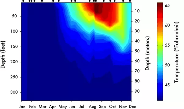 Is the water of Lake Tahoe warm enough to swim in? Please share your