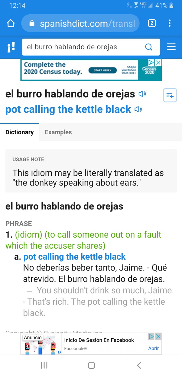 What does the Spanish phrase 'Burro Hablando de Orejas' mean in English