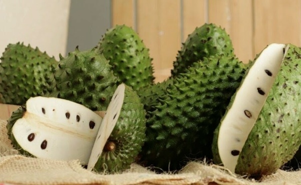 Buah Mata Kucing Dalam Bahasa Inggris Seputar Buah