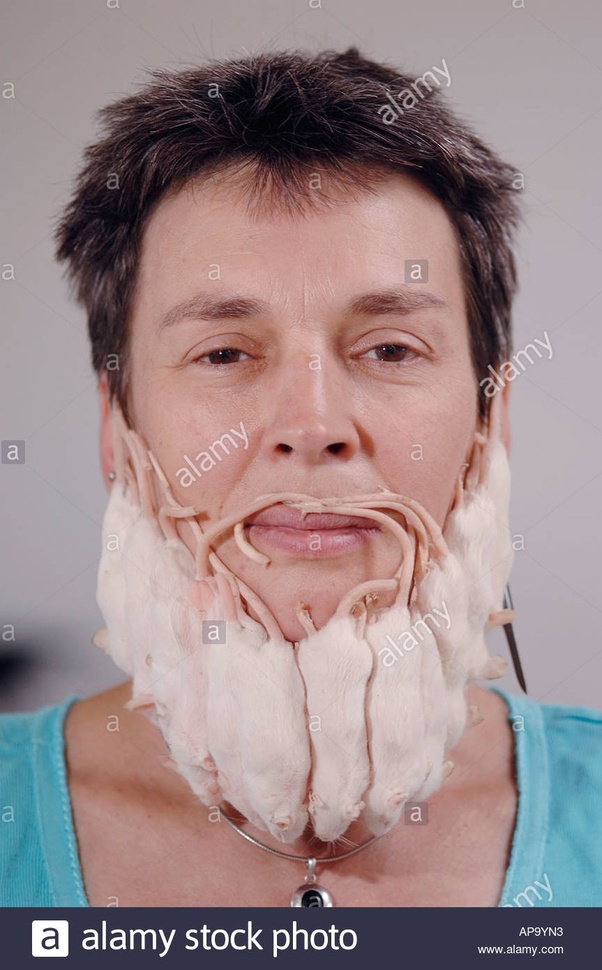 Weirdest Funny Stock Photos Pict Art