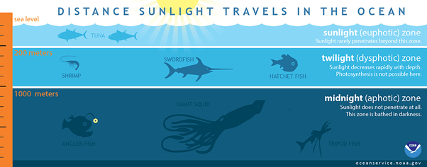 What is the deepest any amount of sunlight can reach in