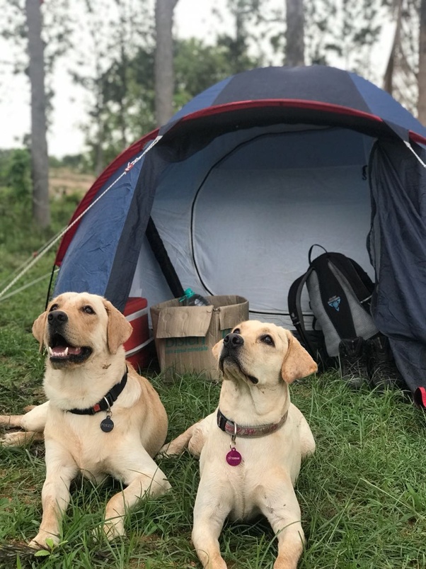 What are some places around Bangalore where I can camp for