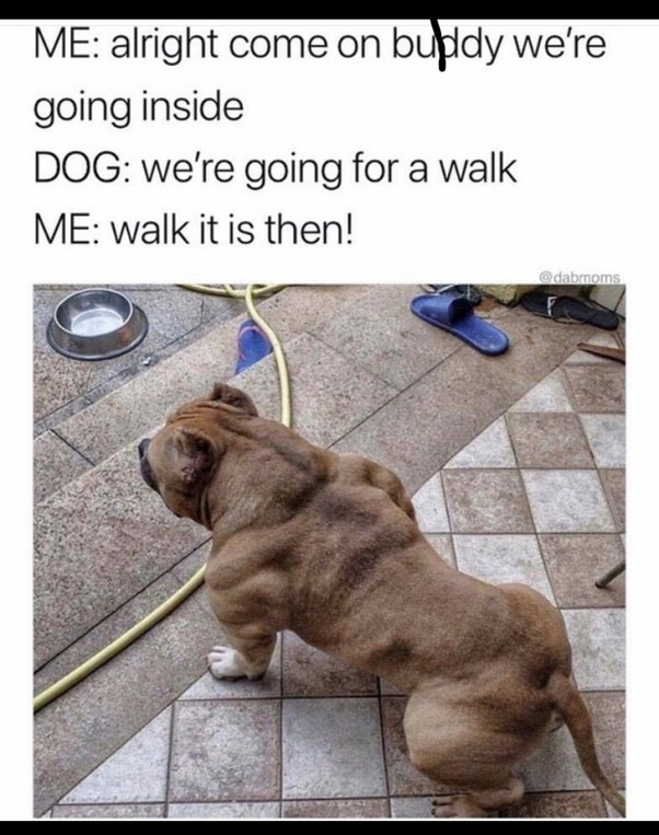 What are some of the greatest and funniest memes? Quora