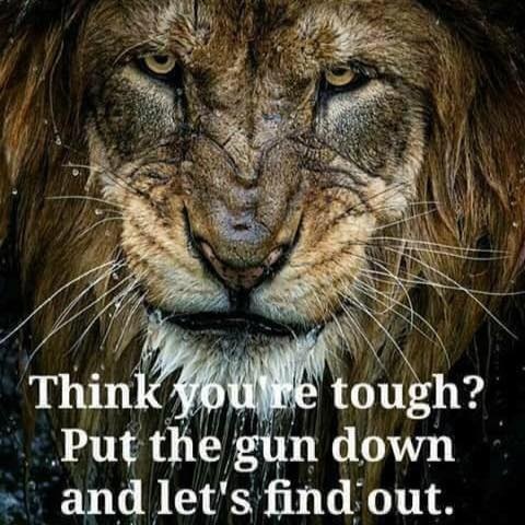 It S Fucking Big Lion Callmecarson