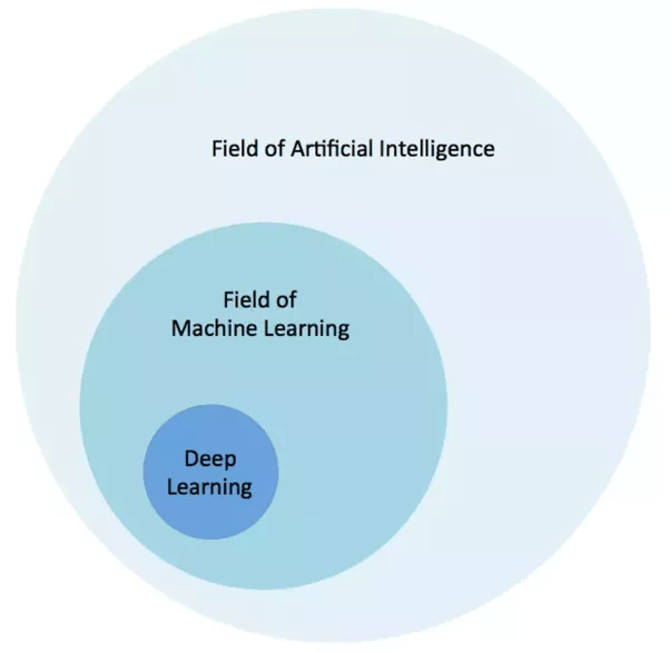 What are all the different kinds of A.I. learning, machine learning