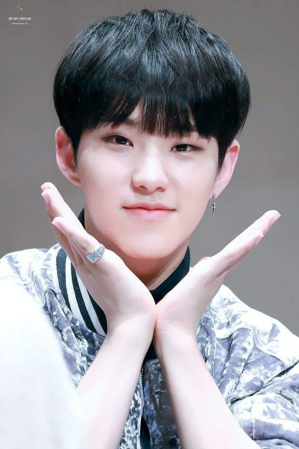 Who is the most handsome Seventeen member? Quora