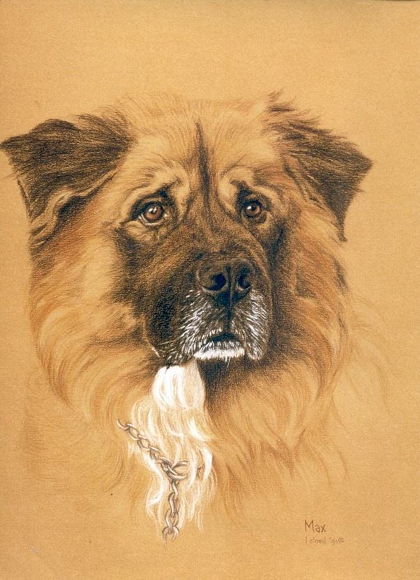 Best Canvas For Pencil Drawing