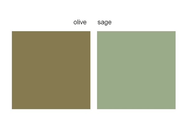 Are olive green and sage the same color? Quora