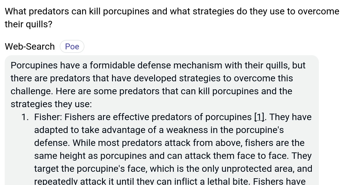 What predators can kill porcupines and what strategies do they use to