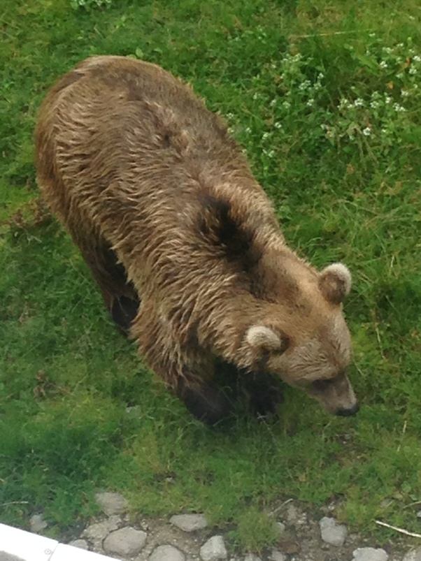 What does your country mean to you? Quora