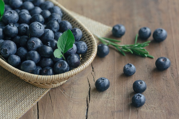 What is blueberry called in Hindi? Quora