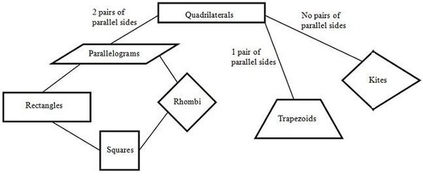 What common ground do rhombus, parallelograms, squares, and rectangles