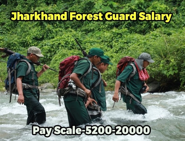 What is the salary of a forest guard in Jharkhand? Quora