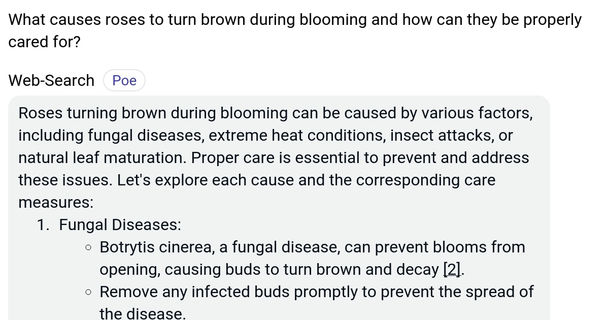 What causes roses to turn brown during blooming and how can they be properly cared for? Poe