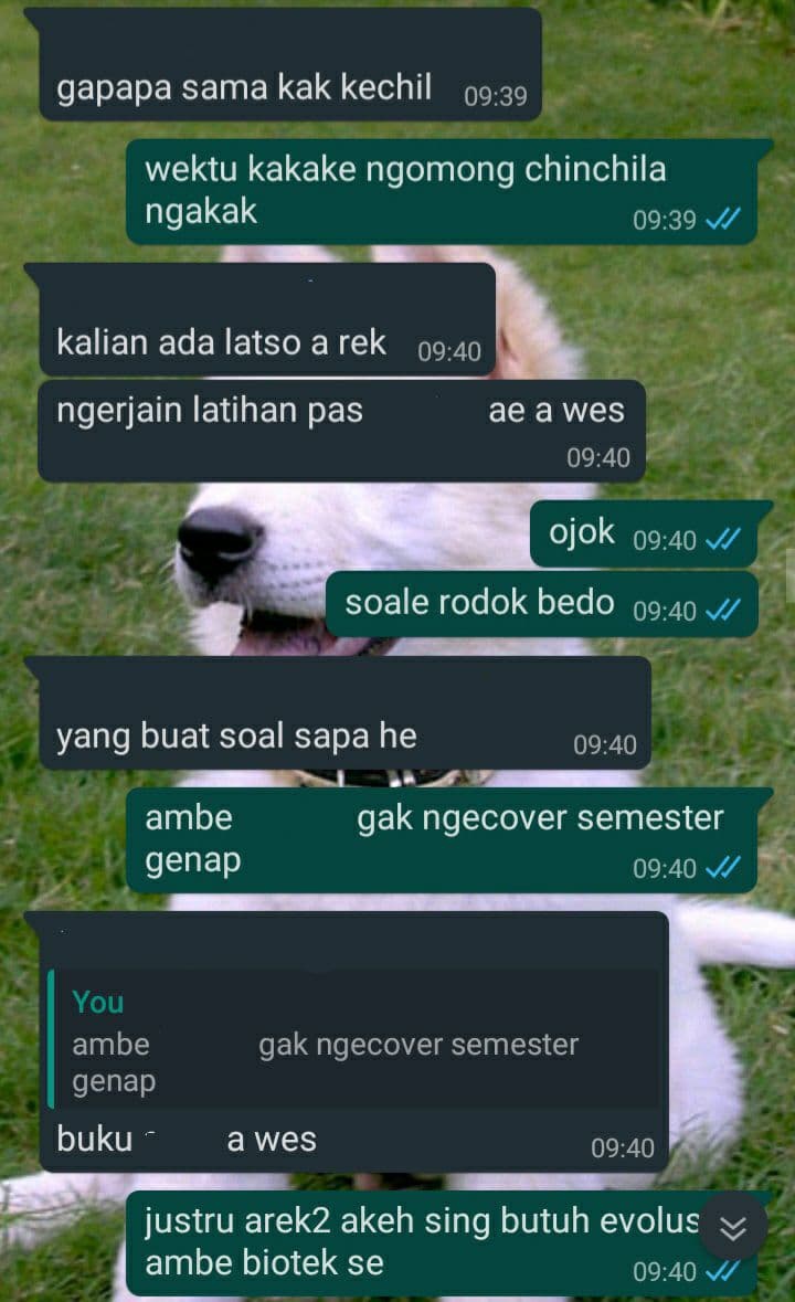 Sebagai orang Jawa apakah kamu menulis pesan SMS dan layanan sejenis  menggunakan bahasa Jawa? - Quora