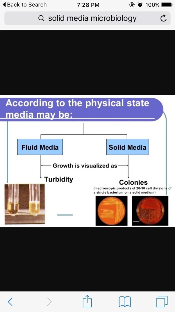 What is solid media in microbiology? Quora