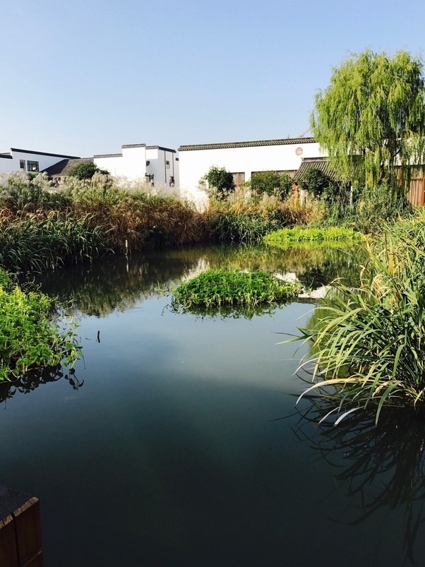 What are the best aspects of living in Hangzhou as a young adult? Quora