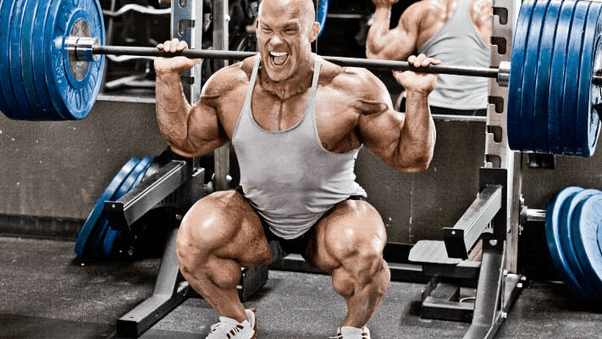 How long does it take to build muscle? Quora