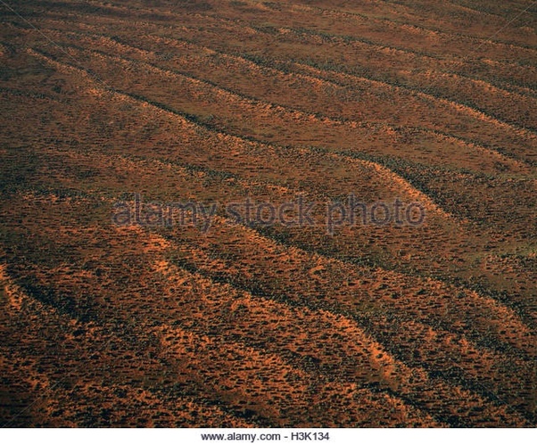 The Okavango Delta in southwestern Africa contains an absolutely