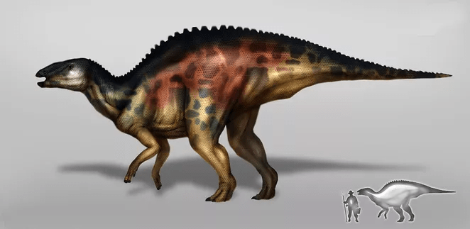 Mengapa biologi memiliki nama yang begitu rumit, membuatnya sulit untuk  diucapkan dan membuat mengingatnya semakin sulit? - Quora