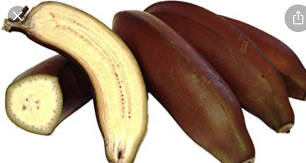 Why are bananas seedless? Quora