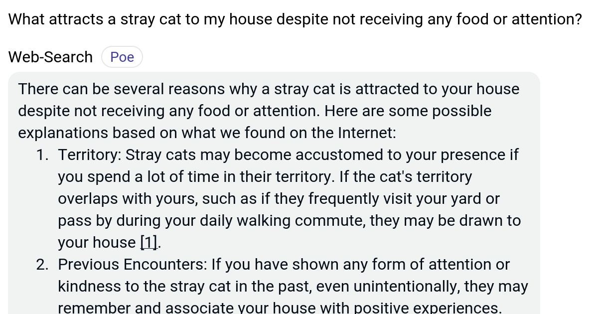 What attracts a stray cat to my house despite not receiving any food or