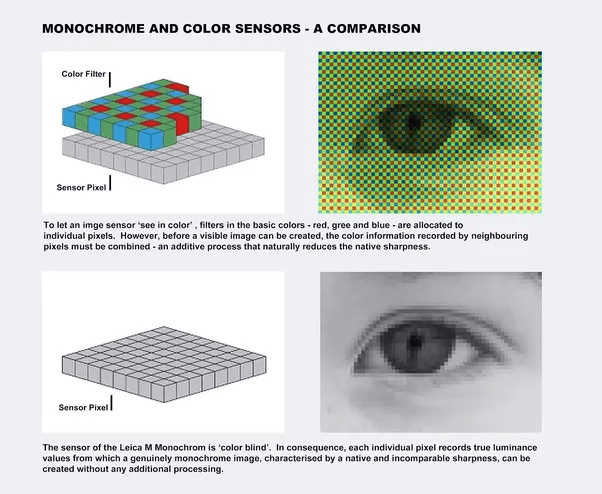 What is the difference between monochrome and grayscale images? Quora